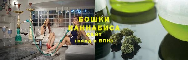 гашик Алексеевка