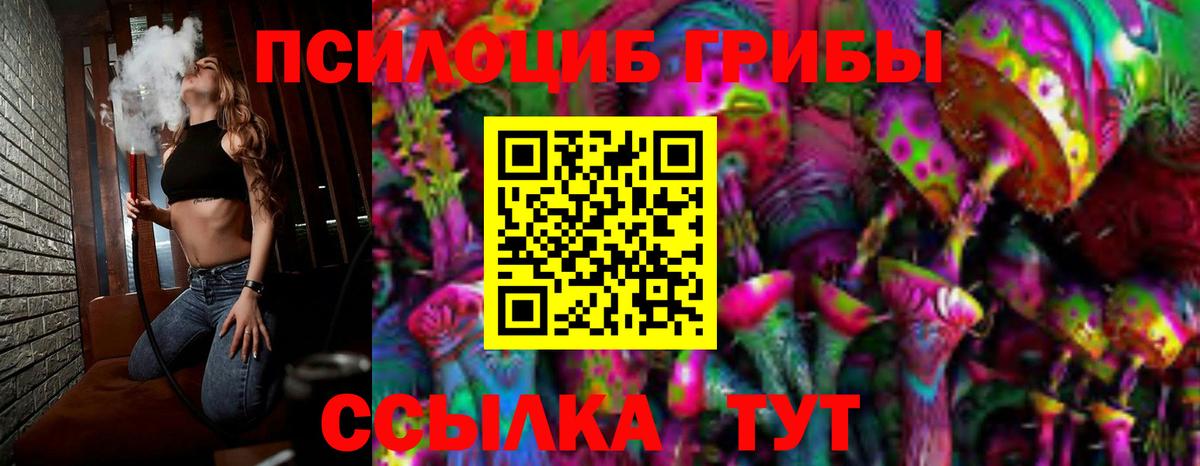 Нижний Тагил  Псилоцибиновые грибы Cubensis  Вход с VPN 