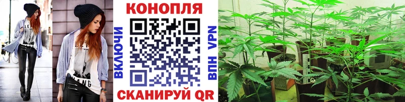 где купить наркотик Нижний Тагил Бошки марихуана сатива